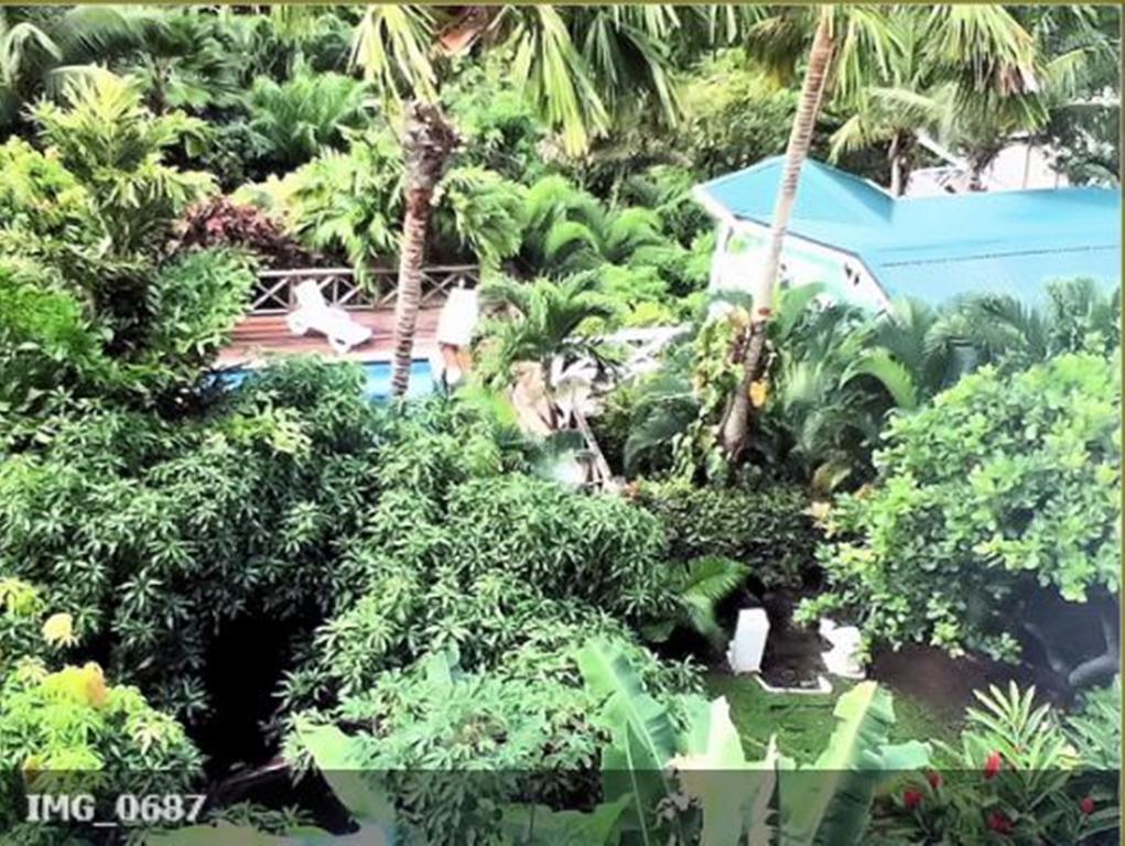 Apartment Espoir Castries Bagian luar foto