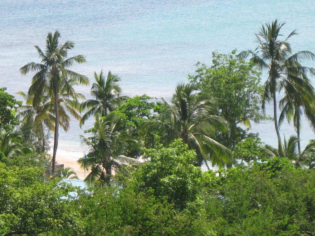 Apartment Espoir Castries Bagian luar foto
