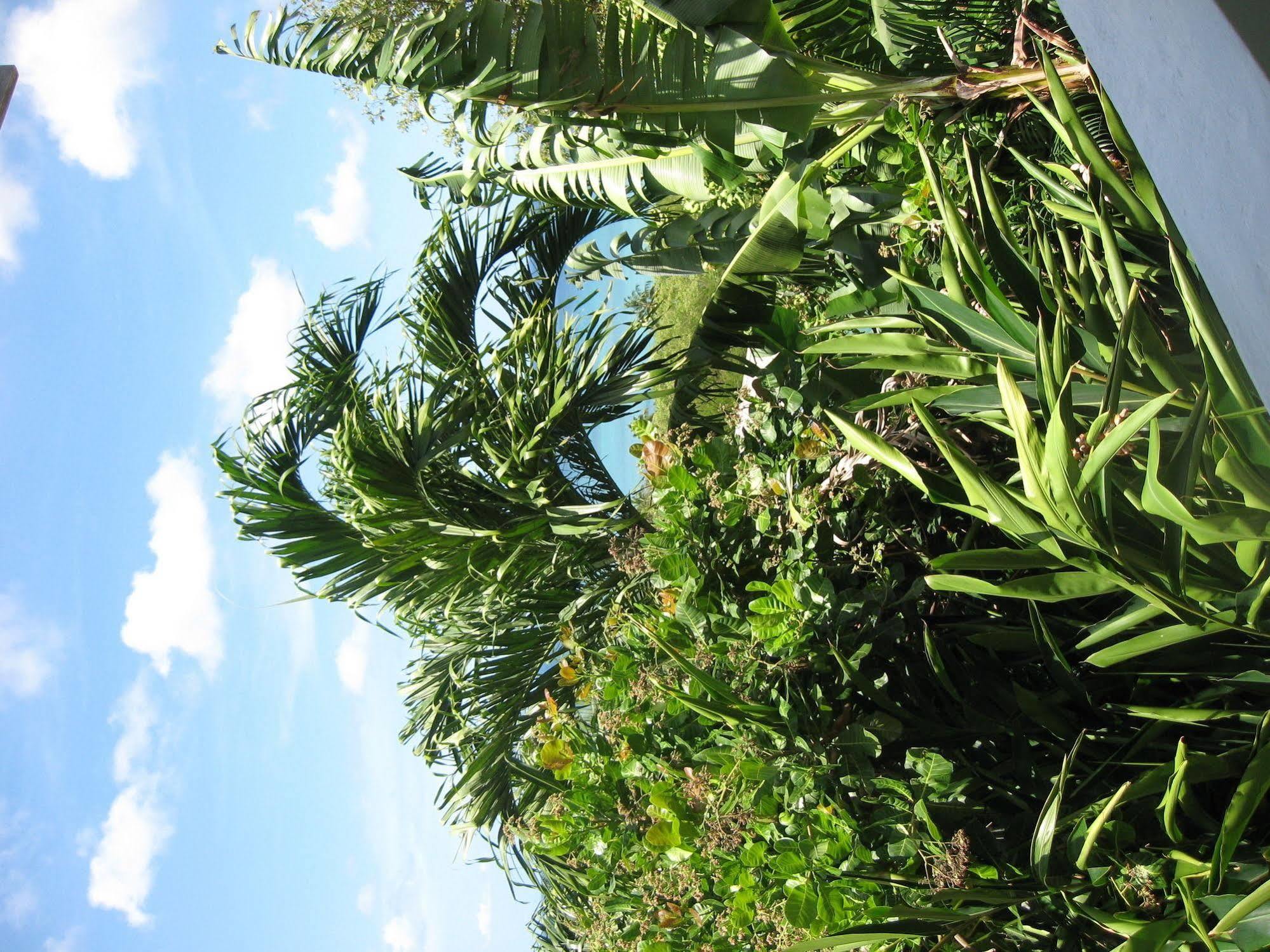 Apartment Espoir Castries Bagian luar foto