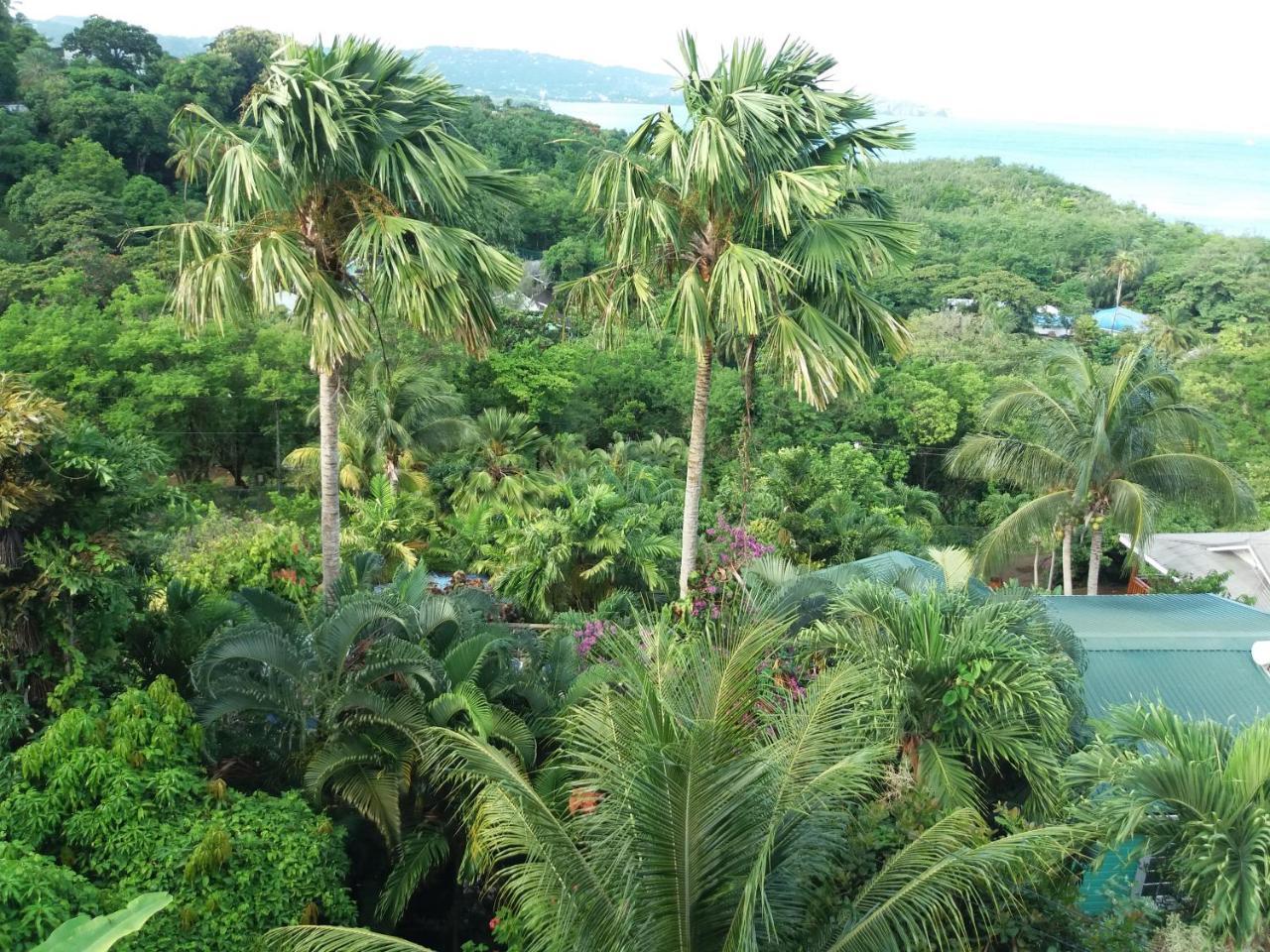 Apartment Espoir Castries Bagian luar foto